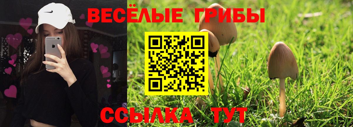 Йошкар-Ола  Псилоцибиновые грибы MAGIC MUSHROOMS  Вход с VPN 